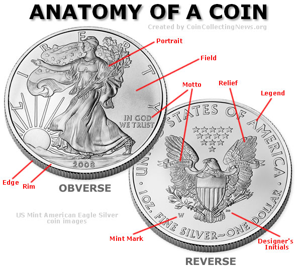 Silver Coin Anatomy