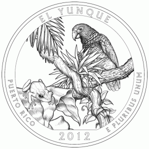 El Yunque National Forest Silver Coin Design