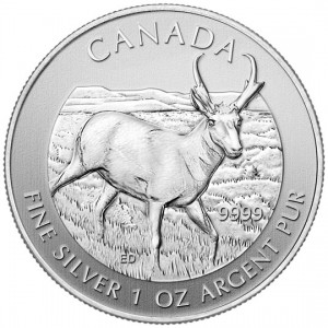 Canadian Wildlife 2013 Canadian Pronghorn Antelope Silver Bullion Coin