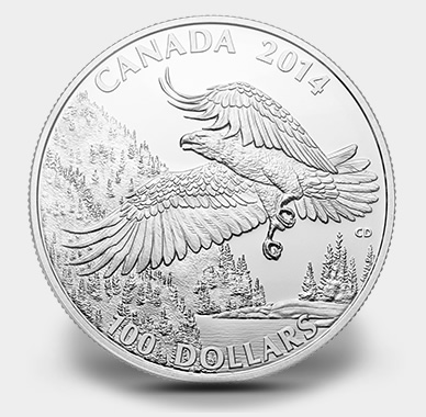 Canadian 2014 $100 Bald Eagle Silver Coin