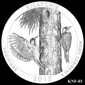 Kisatchie National Forest Silver Coin, Design Candidate KNF-03