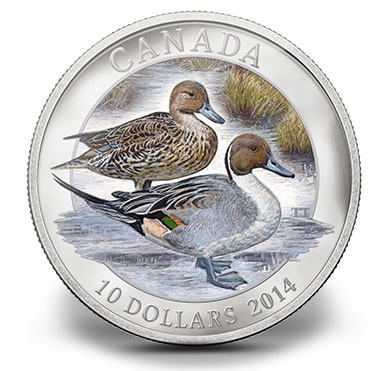 2014 $10 Canadian Pintail Duck Silver Coin