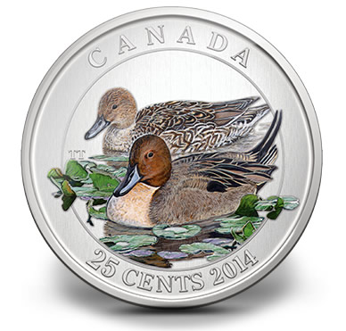 2014 25c Canadian Pintail Duck Colored Coin