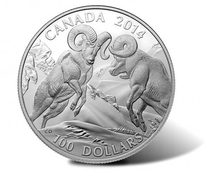 Canadian 2014 $100 Bighorn Sheep Silver Coin