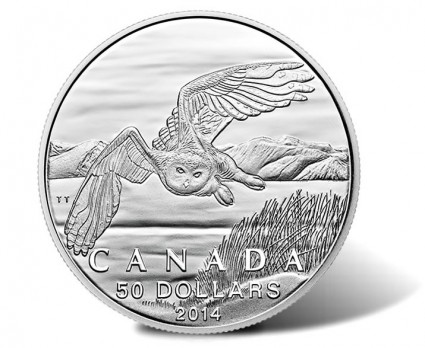 2014 $50 Snowy Owl Silver Coin for $50