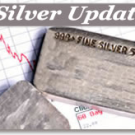 Silver Prices Plunge in February 2013