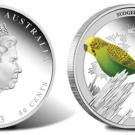 2013 Budgerigar Silver Coin Second in Birds of Australia Series