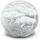 Canadian 2013 $100 Bison Silver Coin for Face Value