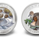 2014 Canadian Pintail Duck Coins in Silver and Color
