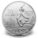2014 $20 Summertime Commemorative Silver Coin at Face Value